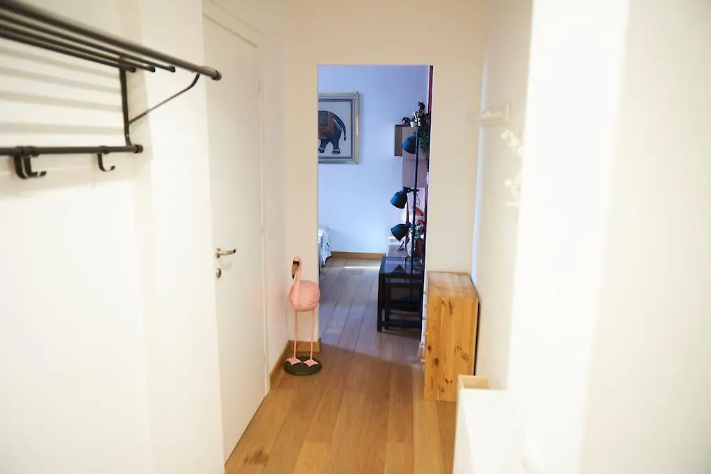 ميلان Ampola Home “Flamingo”